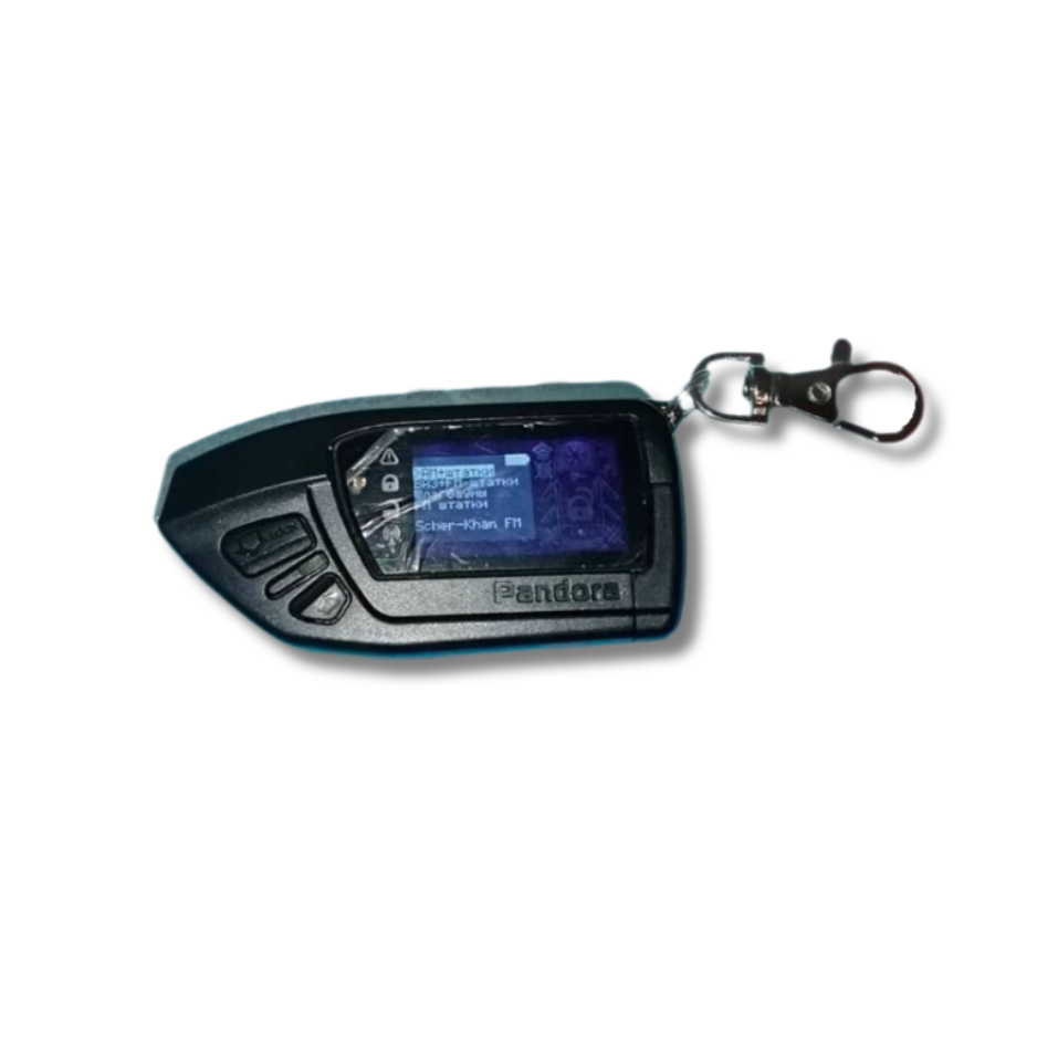 Pandora D605 Max + BMW